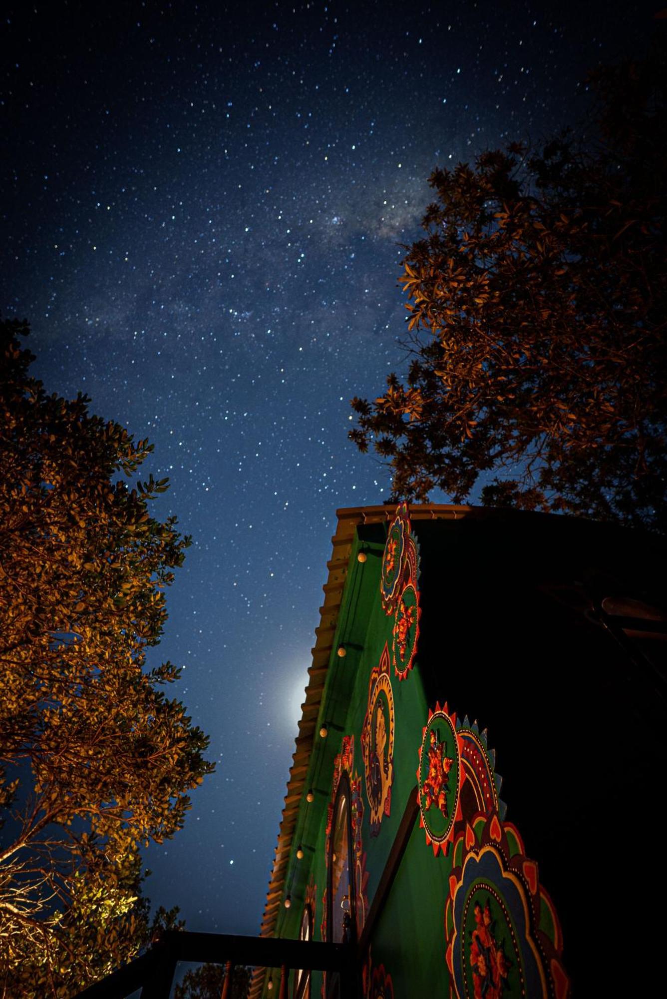 Treedom Villas And Vardos Wilderness Luaran gambar